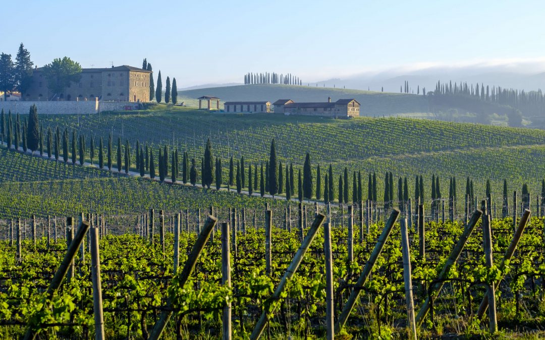 The Tuscan countryside: Siena, Pienza, and Montepulciano