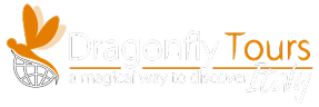 Dragon Fly Tours