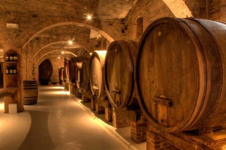 winery and wine tours in Italy