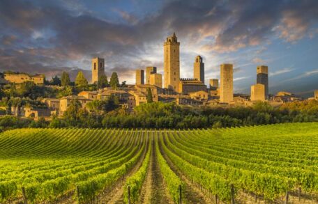 vineyards in san gimignano Toscana Italy