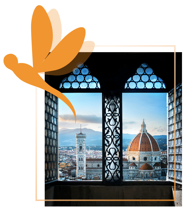 dragonfly tours italy reviews