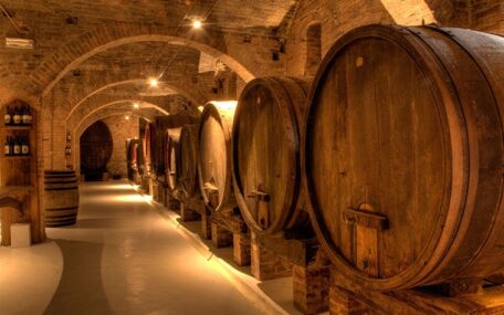Lucca wine tasting tour