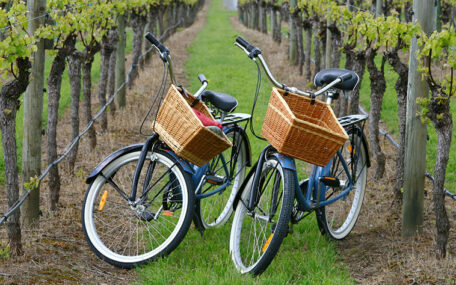 bikes in a vineyard in Italy