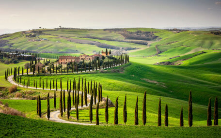 val d'orcia cypress trees Tuscany