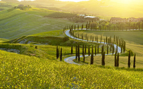 Tuscany Panoramic view