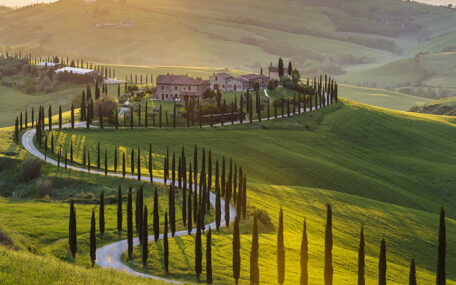 Tuscany landscape with cypress trees